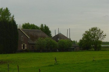 betuwe/diefdijk1055.JPG
