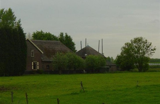 betuwe/diefdijk1055.JPG