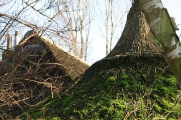 graafschap/gr_dochteren