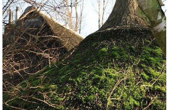 graafschap/gr_dochteren