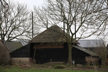 gelderland/tielerwaard