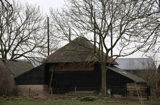 gelderland/tielerwaard