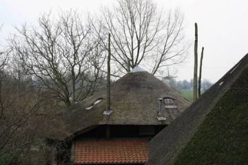 gelderland/bommelerwaard