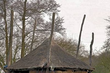 overijssel/ommen/withaar