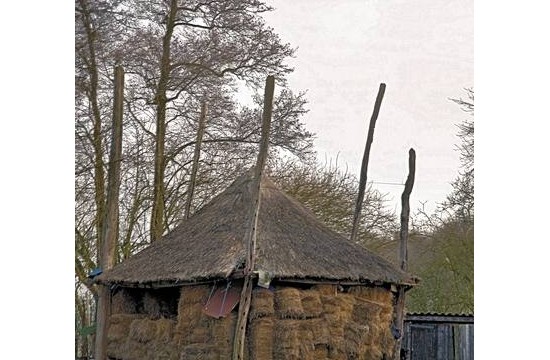 overijssel/ommen/withaar