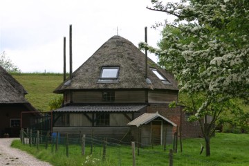 betuwe/betuwe1096.JPG