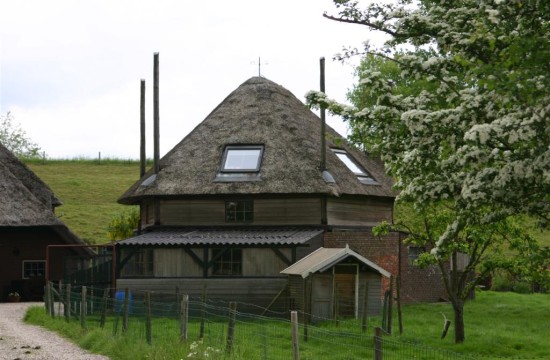 betuwe/betuwe1096.JPG