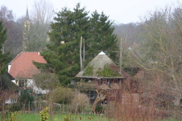 betuwe/betuwe1085.JPG