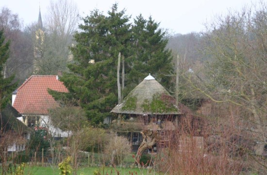 betuwe/betuwe1085.JPG