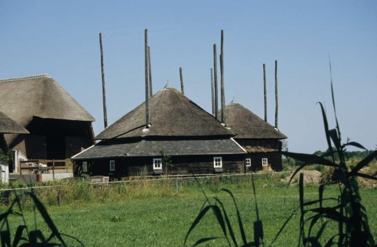 betuwe/143b Hooibergen Heesselt Betuwe.JPG