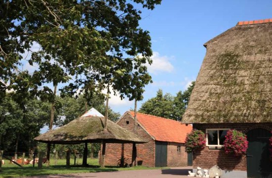 kootwijkerbroek/kootwijkerbroek (10).JPG