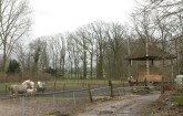 vorden_paarden/vorden0001_RJ.JPG