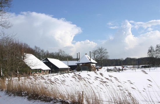 sneeuw_zwaluwenburg_manege