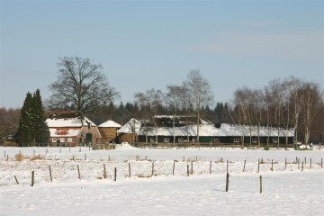 sneeuw_diepenveen_camping