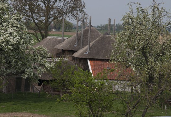 Neerijnen